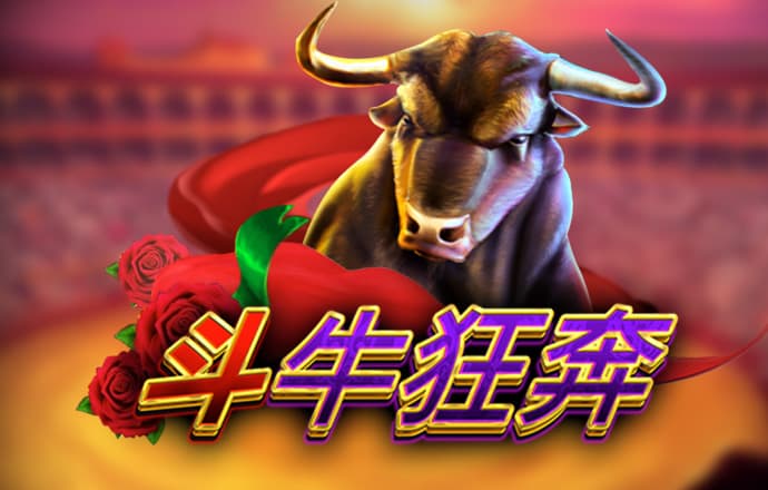 55世纪官网注册